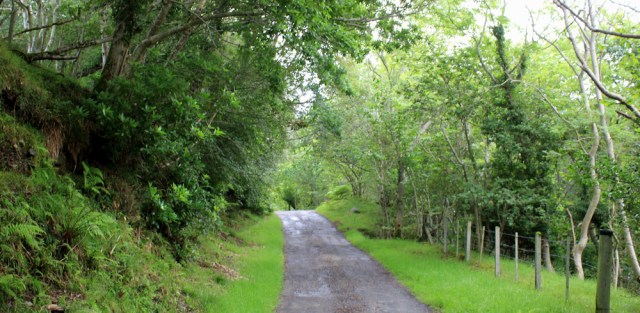 05 narrow road from Ardaneaskan, Loch Carron, Ruth's coastal walk around Scotland