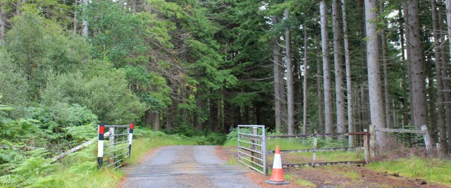 06 cattle grid, road between Ardaneaskan and Lochcarron, Ruth walking the coast of Scotland