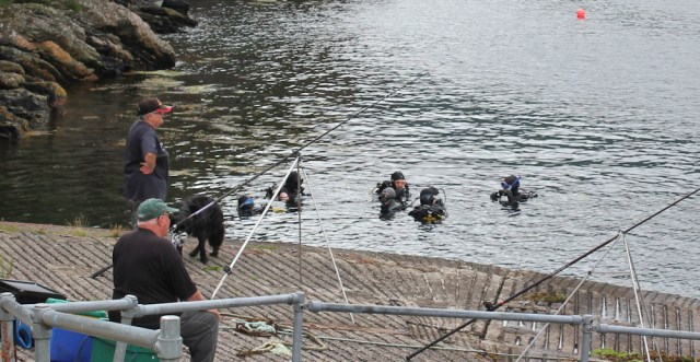 16 everyone in the water, off Strome Castle, Loch Carron, Ruth's coastal walk around Scotland