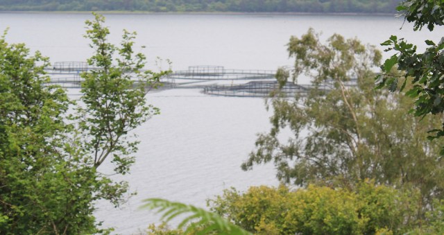 24 fish farm in the rain, Loch Carron, Ruth's coastal walk around Scotland