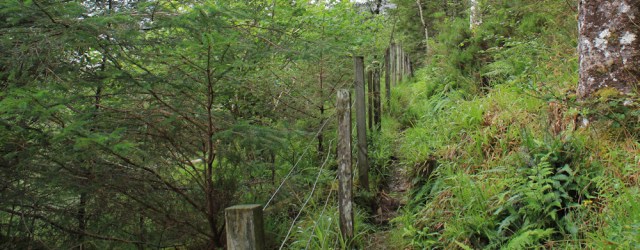 12 narrow path along edge of woodland, Reraig, Ruth walking the coast of Scotland