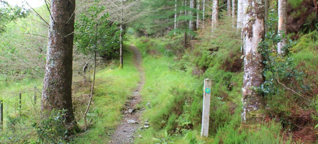 13 signed path through trees, Reraig, Ruth walking the coast of Scotland
