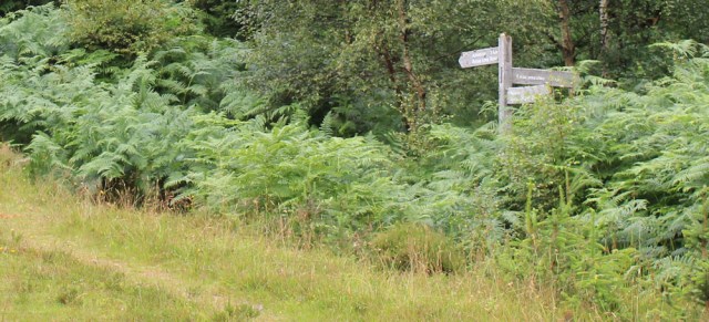 15 footpath fork for Reraig Loop, Ruth walking the coast of Scotland