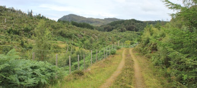 16 track on edge of Reraig forest, Ruth walking the coast of Scotland