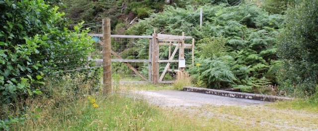 17 fork in the track and deer fence, Reraig, Ruth walking the coast of Scotland