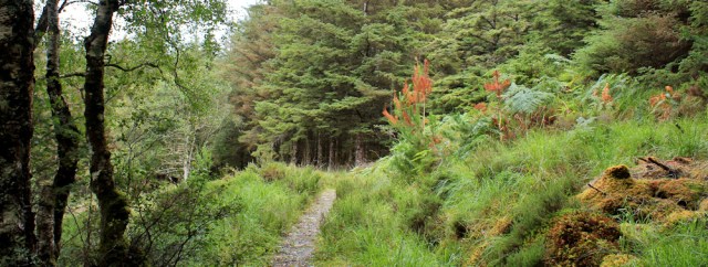 25 woodland walk, Reraig, Ruth hiking around the coast, Scottish Highlands