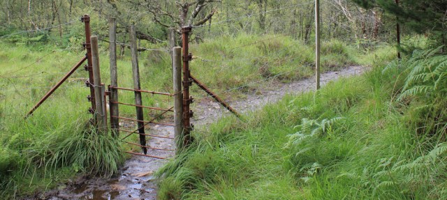 27 through a muddy gate, Reraig, Wester Ross, Ruth hiking around the coast, Scottish Highlands