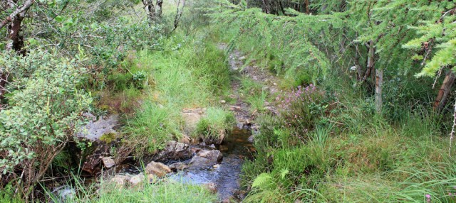 29 through a stream, Reraig, Wester Ross, Ruth's coastal walk