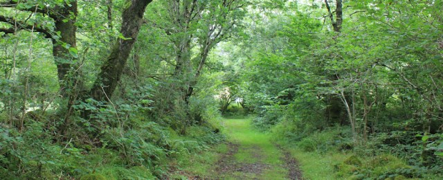 36 track into Achinraid, Wester Ross, Ruth hiking around the coast of the Scottish Highland