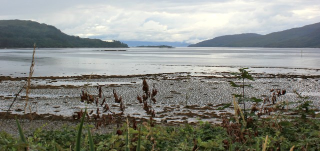 43 Loch Kishorn, on a dull day, Ruth hiking around the coast of the Scottish Highland