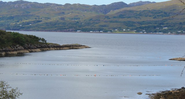 17 lines across Ob Gorm Beag, Ruth's coastal walk around Scotland