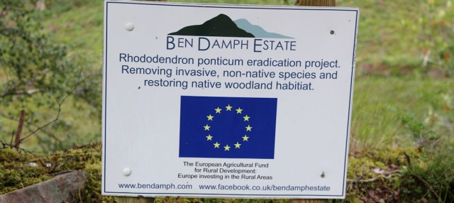 18 removing rhododendron sign, path to Annat, Ruth's coastal walk around Scotland