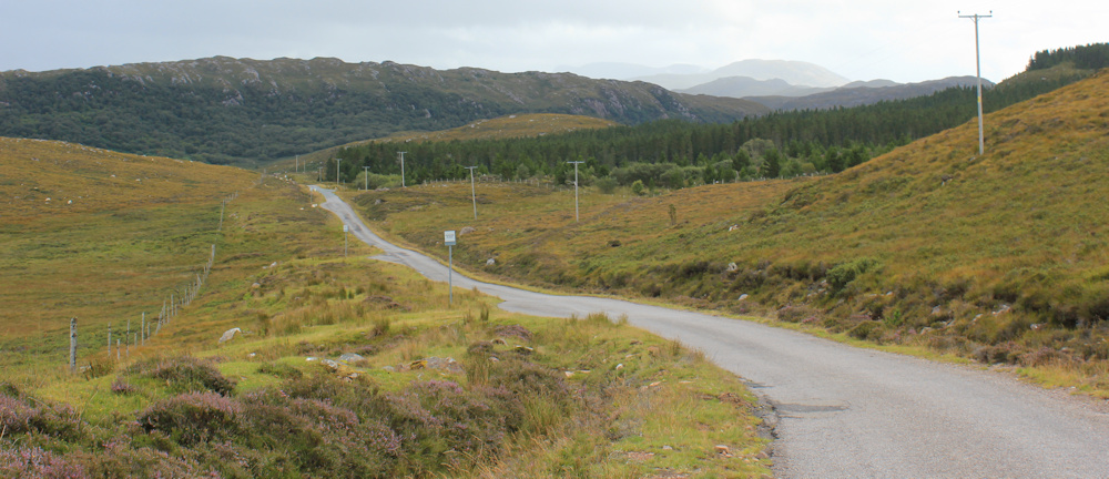 28 woodland, near Arrisa, Ruth hiking around the north of Applecross, Scotland