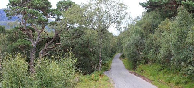 31 narrow road to Sheldaig, Ruth walking the south bank of Loch Torridon, Scotland