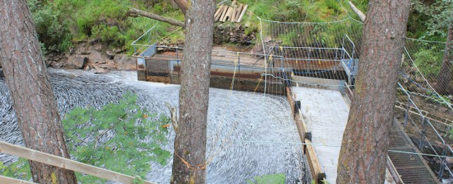 38 mucky pond, Ruth walking the south bank of Loch Torridon, Scotland