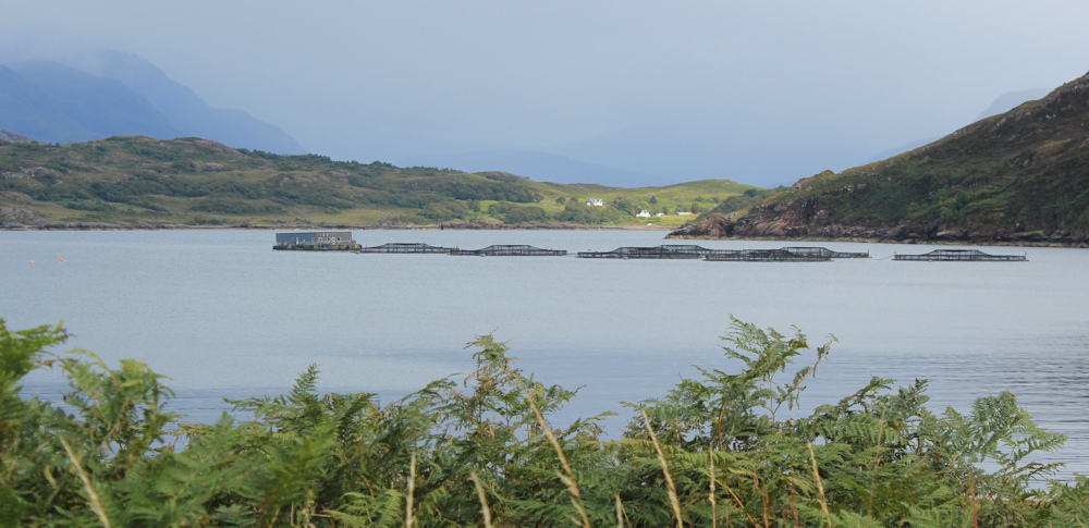 39 Salmon farm, Kenmore, Loch Torridon, Ruth hiking the north coast of Applecross, Scotland