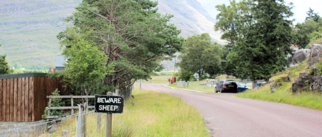 003 Beware of the Sheep, Annat, Ruth walking the coast of north-west Scotland
