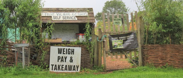 038 Weigh, pay and take away, Inveralligin, Ruth walking the coast from Torridon, Scotland