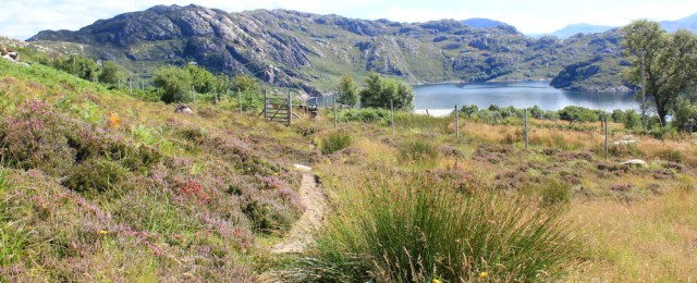 26 back at the start, Ruth's coastal walk to Craig Bothy and back, Scotland